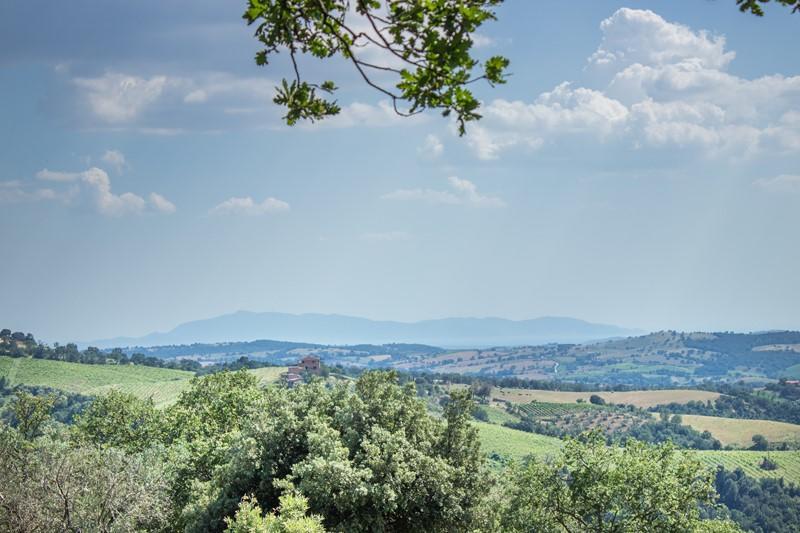 Il Troscione Villa Scansano Exterior photo